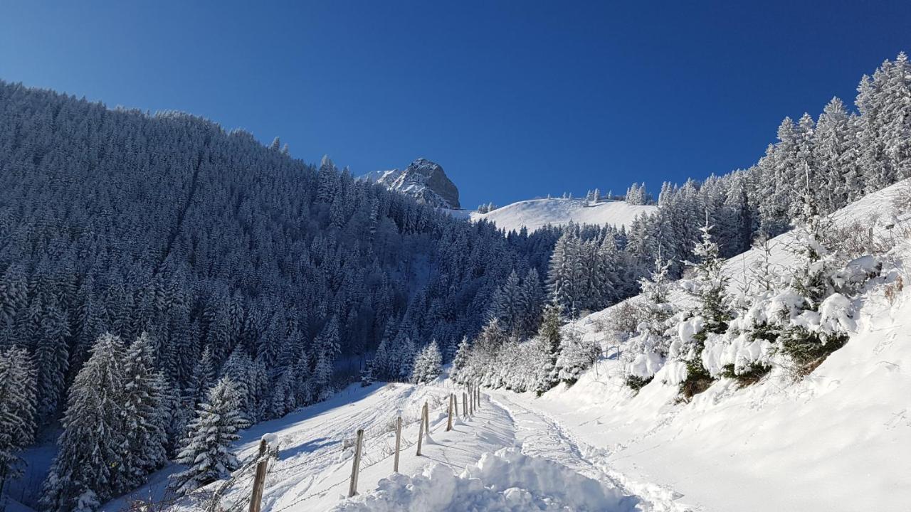 Charming Chalet With Panoramic View And Private Parking In Gruyere Greyerz Exterior foto
