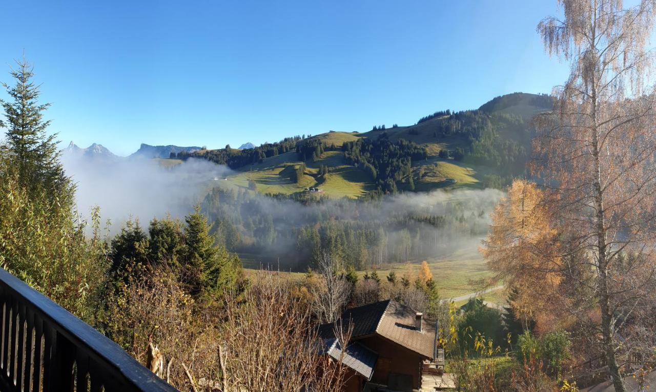 Charming Chalet With Panoramic View And Private Parking In Gruyere Greyerz Exterior foto